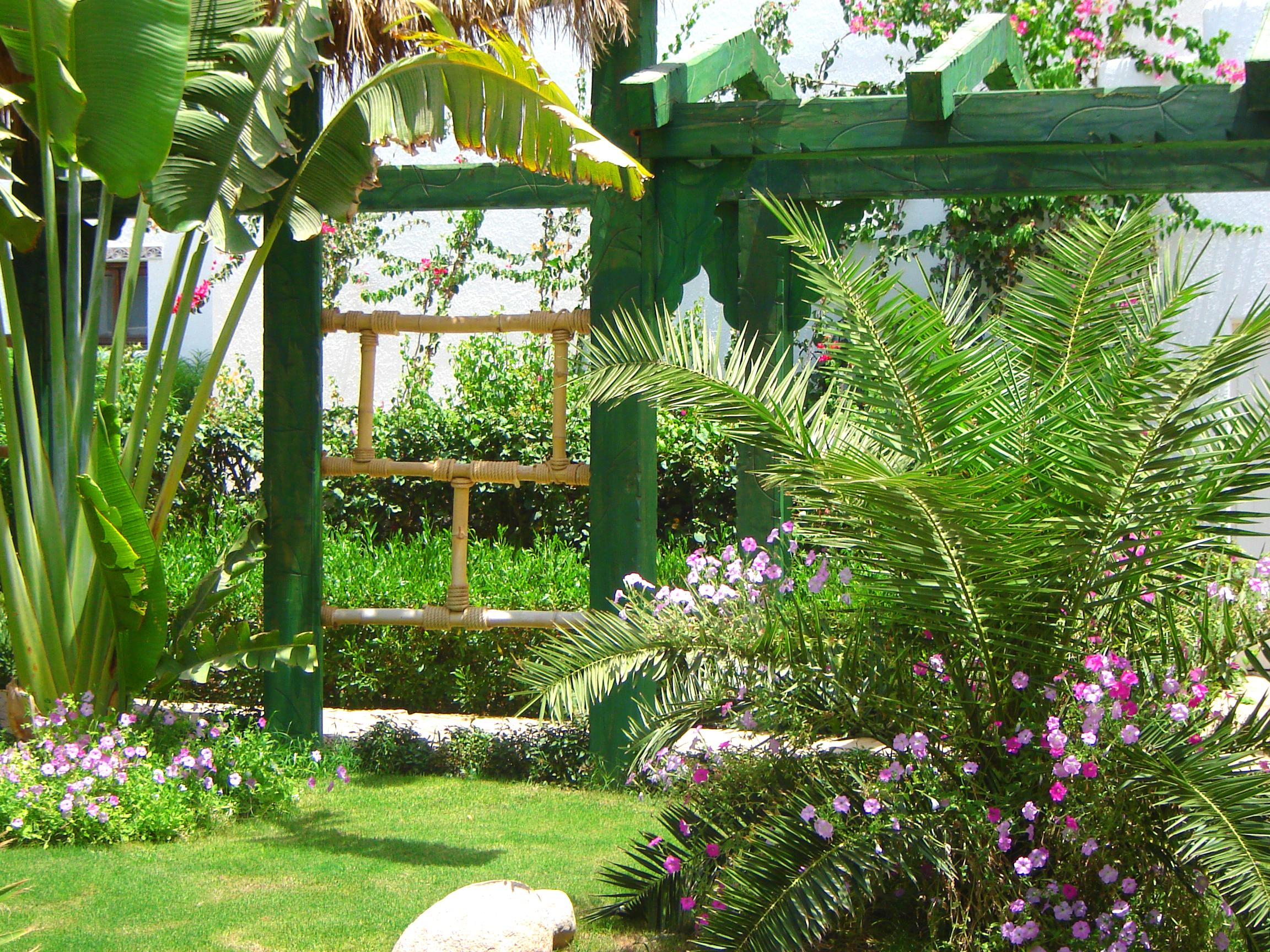 Delta Sharm Resort ,Official Web, Delta Rent, Sharm El Sheikh, South Sinai, Egypt Εξωτερικό φωτογραφία